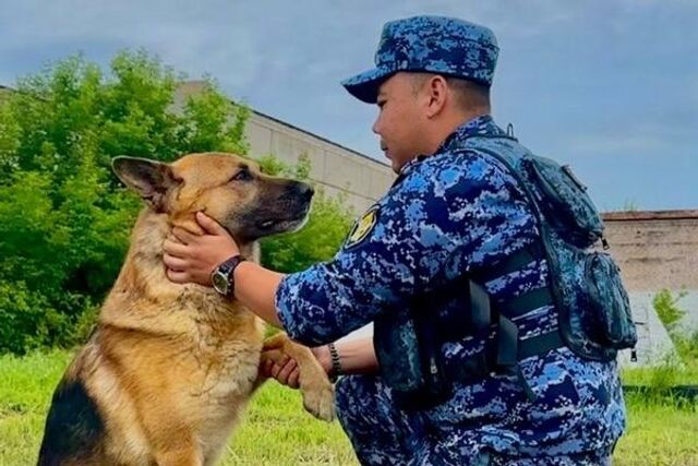 В ГУФСИН Челябинской области отметили свой праздник сотрудники, работающие в паре с четвероногими - Информационное агентство «Урал-пресс-информ», 22.06.2025