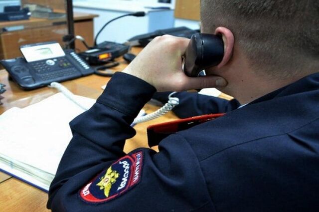 В Челябинске задержан подозреваемый в краже телефона из торгового комплекса - Информационное агентство «Урал-пресс-информ», 29.06.2025