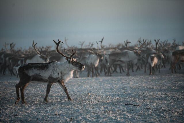 Вместе в цифровое будущее: «Ростелеком» запустил XV конкурс для журналистов и блогеров - Информационное агентство «Урал-пресс-информ», 10.11.2025
