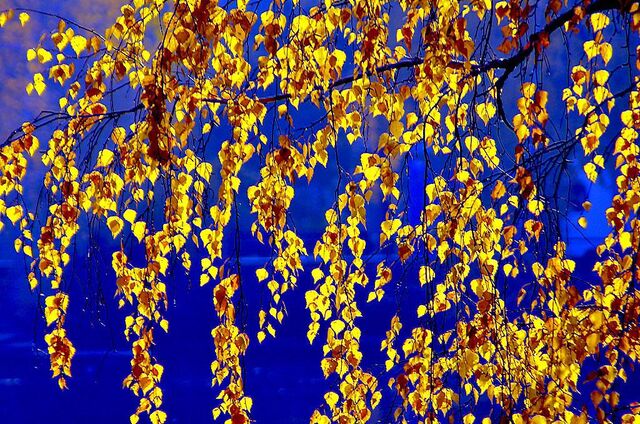 ИА «Урал-пресс-информ» - 28 лет - Информационное агентство «Урал-пресс-информ», 10.11.2025