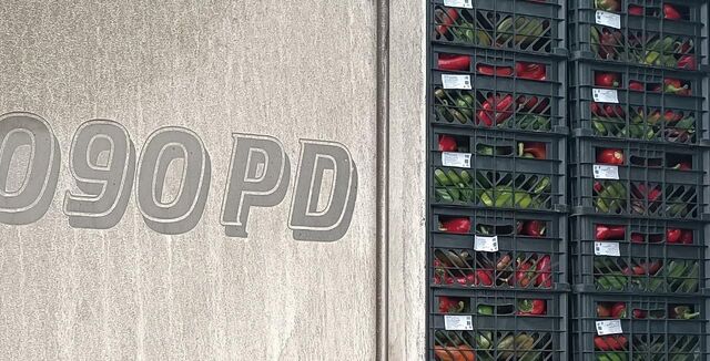 Казахстанские перцы не пустили в Челябинск - Информационное агентство «Урал-пресс-информ», 10.11.2025