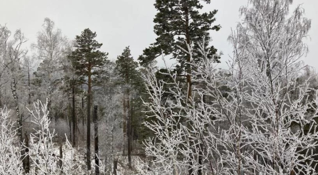 «Справедливая Россия» выступила против освоения и застройки заповедников - Информационное агентство «Урал-пресс-информ», 16.04.2026