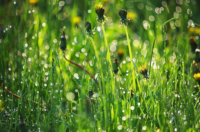 Двое южноуральских бойцов возвращаются на Родину из украинского плена - Информационное агентство «Урал-пресс-информ», 24.04.2026