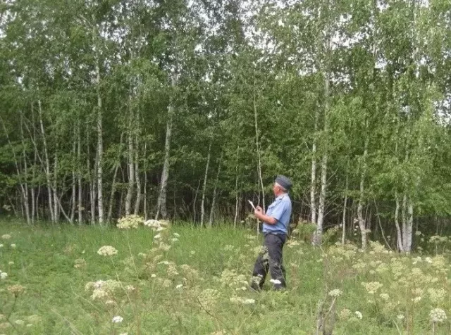 Южноуральцам советуют добровольно уничтожать «чужих» на своих участках - Информационное агентство «Урал-пресс-информ», 28.04.2026