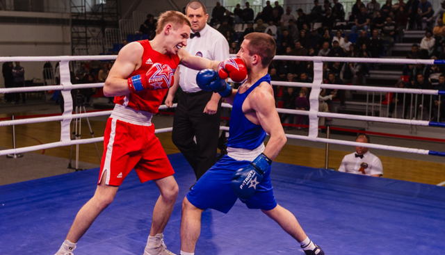 Копейск примет Всероссийские соревнования по боксу - Информационное агентство «Урал-пресс-информ», 29.04.2026