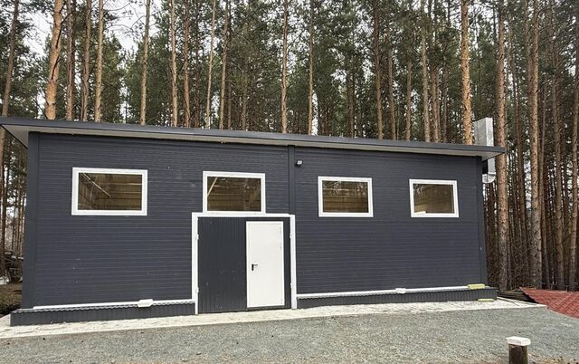 Зоопарк знаменитого горнолыжного курорта ММК обзавёлся роддомом - Информационное агентство «Урал-пресс-информ», 29.04.2026