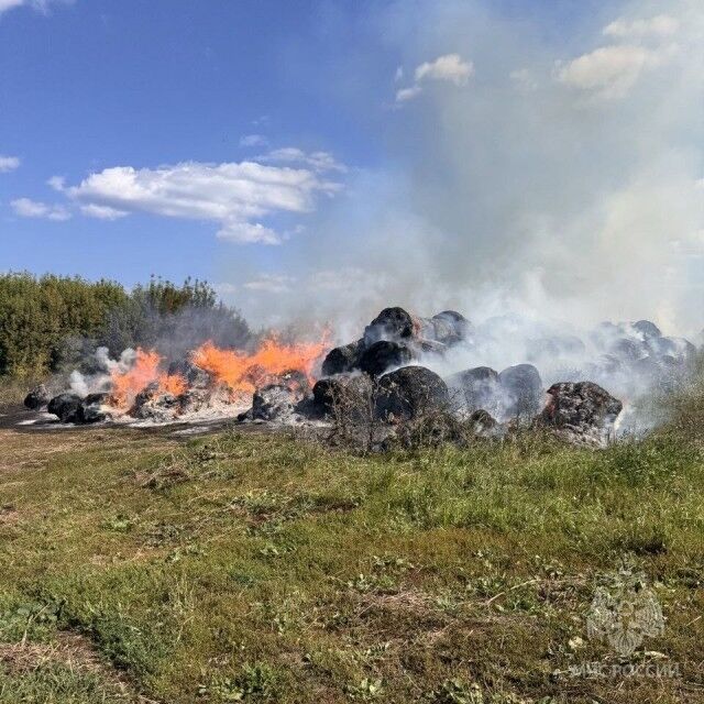1,4 тыс. м² сена горят вблизи Арьевки Нижегородской области - Лента новостей НТА-Приволжье, 29.07.2025