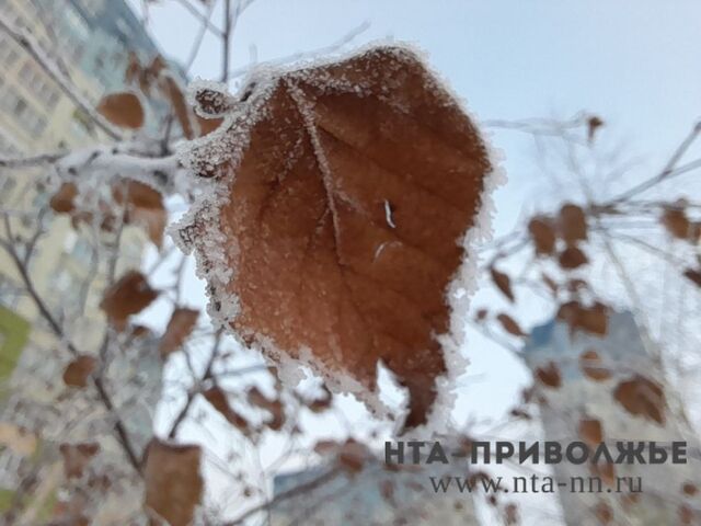 Народные приметы: 2 ноября - Лента новостей НТА-Приволжье, 02.11.2025