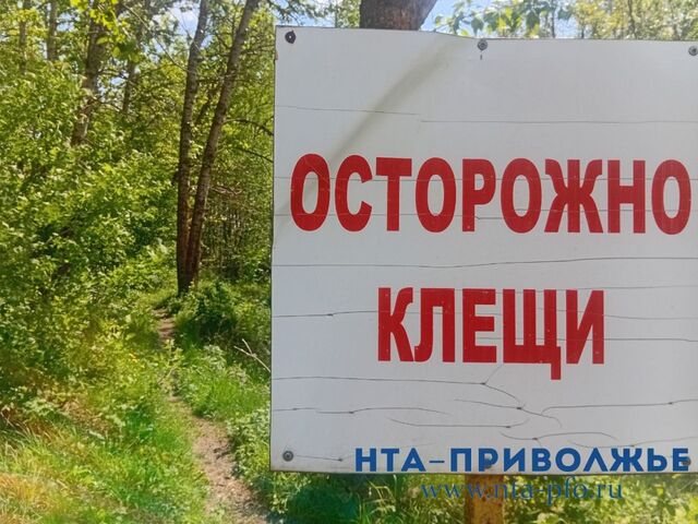 Нижегородцам напомнили о предосторожности в преддверии сезона клещей - Лента новостей НТА-Приволжье, 24.02.2026