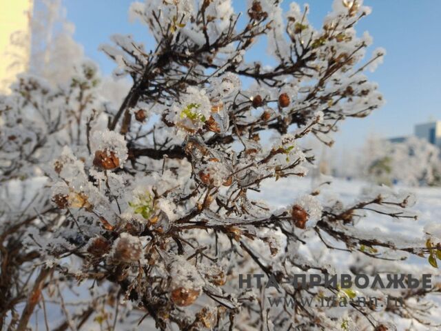 Последний день зимы: праздники и приметы 28 февраля - Лента новостей НТА-Приволжье, 28.02.2026