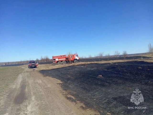 Первое возгорание сухой травы в Нижегородской области потушили на 4 га - Лента новостей НТА-Приволжье, 15.04.2026