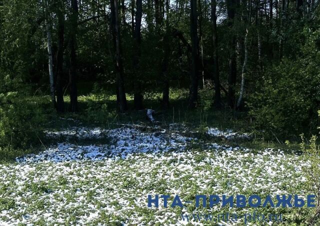 Порядка 13 см снега может выпасть в Нижнем Новгороде 20 апреля - Лента новостей НТА-Приволжье, 19.04.2026