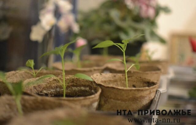 Народные приметы: 29 апреля - Лента новостей НТА-Приволжье, 29.04.2026