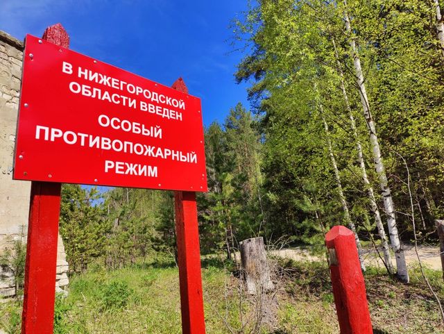 Минлесхоз напомнил о правилах пожарной безопасности в лесах - Лента новостей НТА-Приволжье, 24.07.2026