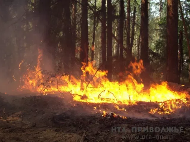 Число лесных пожаров пожаров выросло в Башкирии - Лента новостей НТА-Приволжье, 13.09.2026