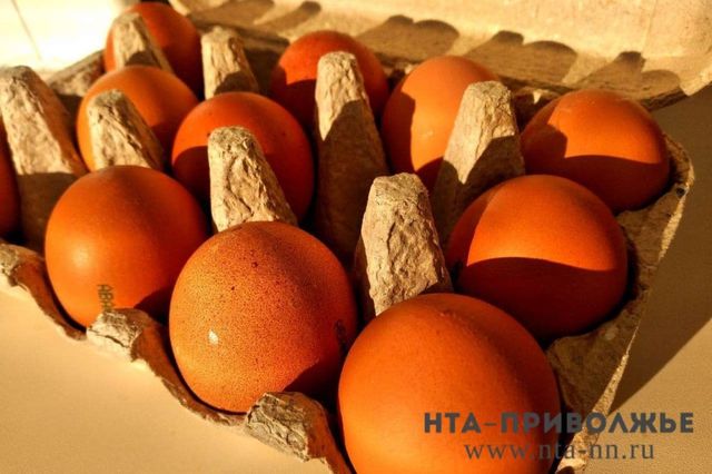 Производство яиц в Нижегородской области выросло на 9% - Лента новостей НТА-Приволжье, 21.09.2026
