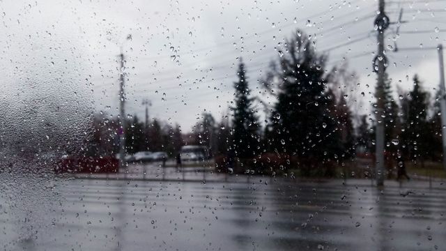 Сильные дожди и шквалистый ветер: погода в Приморье 13 октября — прогноз по городам Сильные дожди и шквалистый ветер: погода в Приморье 13 октября — прогноз по городам - Восток-Медиа | Новости Приморья и Владивостока, 13.10.2026