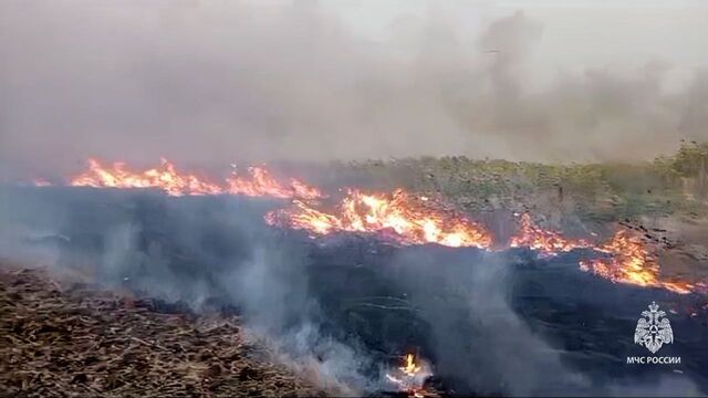 В Ростовской области потушили крупный лесной пожар после падения БПЛА - Новости Ростова-на-Дону - последние новости Ростова-на-Дону сегодня на 1rnd.ru, 30.09.2024