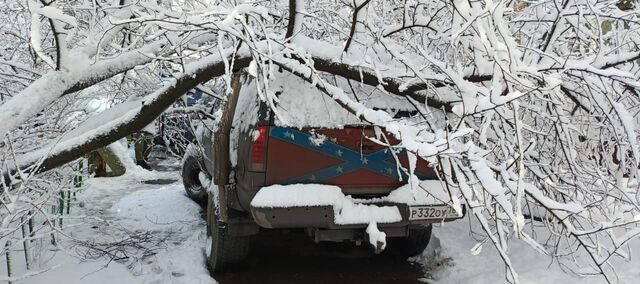 В Ростове рухнули более 100 деревьев из-за рекордного снегопада - Новости Ростова-на-Дону - последние новости Ростова-на-Дону сегодня на 1rnd.ru, 04.02.2025