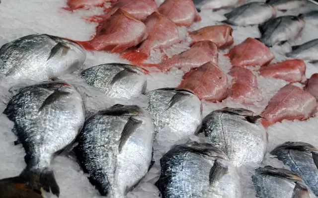 Результаты экспертизы не показали ботулизм в продукции предприятия под Таганрогом - Новости Ростова-на-Дону - последние новости Ростова-на-Дону сегодня на 1rnd.ru, 14.05.2025