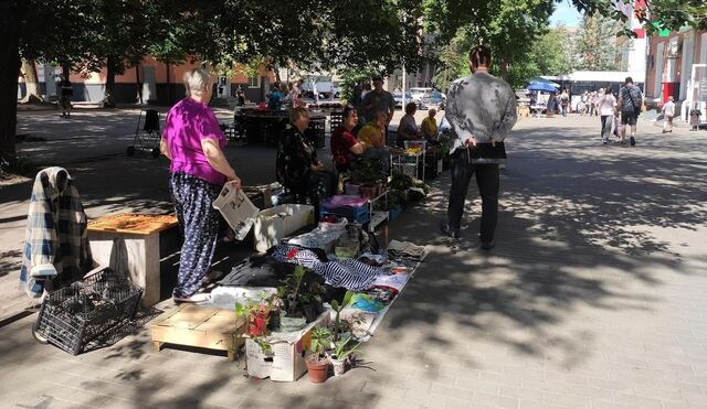 В Ростове выписали штрафы за стихийную торговлю на Сержантова - Новости Ростова-на-Дону - последние новости Ростова-на-Дону сегодня на 1rnd.ru, 04.07.2025