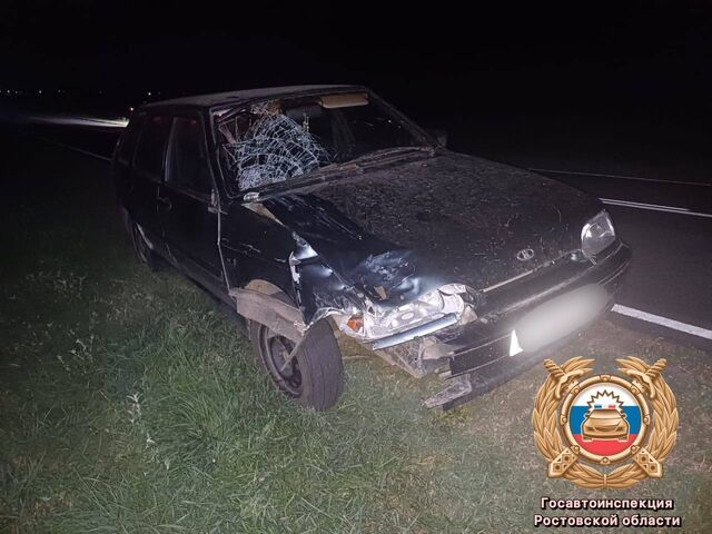 «Четырнадцатая» насмерть сбил пешехода, катившего велосипед, на трассе в Ростовской области - Новости Ростова-на-Дону - последние новости Ростова-на-Дону сегодня на 1rnd.ru, 19.07.2025
