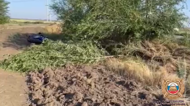 Водитель погиб на месте: в Багаевском районе мотоциклист врезался в дерево - Новости Ростова-на-Дону - последние новости Ростова-на-Дону сегодня на 1rnd.ru, 30.07.2025