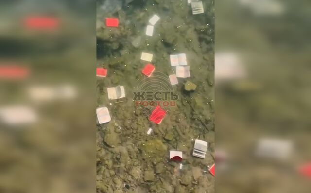 В Ростове-на-Дону неизвестные выбросили военные билеты в реку Дон - Новости Ростова-на-Дону - последние новости Ростова-на-Дону сегодня на 1rnd.ru, 27.08.2025