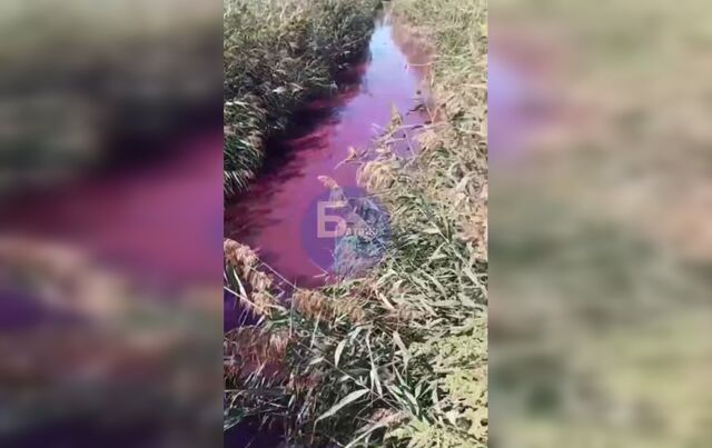Загадочная аномалия: вода в канале Батайска приобрела розовый оттенок - Новости Ростова-на-Дону - последние новости Ростова-на-Дону сегодня на 1rnd.ru, 15.09.2025