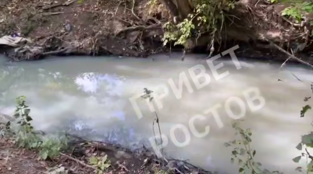 Мутная вода и неприятный запах: зафиксировано очередное загрязнение реки Кизитеринка в парке Авиаторов - Новости Ростова-на-Дону - последние новости Ростова-на-Дону сегодня на 1rnd.ru, 18.09.2025