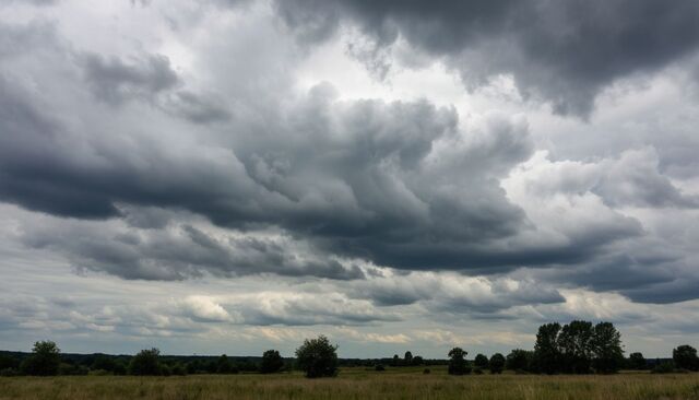 Пасмурно, без осадков: прогноз погоды в Ростове на 2 ноября - Новости Ростова-на-Дону - последние новости Ростова-на-Дону сегодня на 1rnd.ru, 01.11.2025
