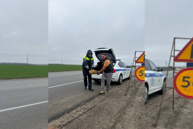 Госавтоинспекторы помогли водителю грузовика заменить лопнувшее колесо на трассе под Ростовом - Новости Ростова-на-Дону - последние новости Ростова-на-Дону сегодня на 1rnd.ru, 05.11.2025