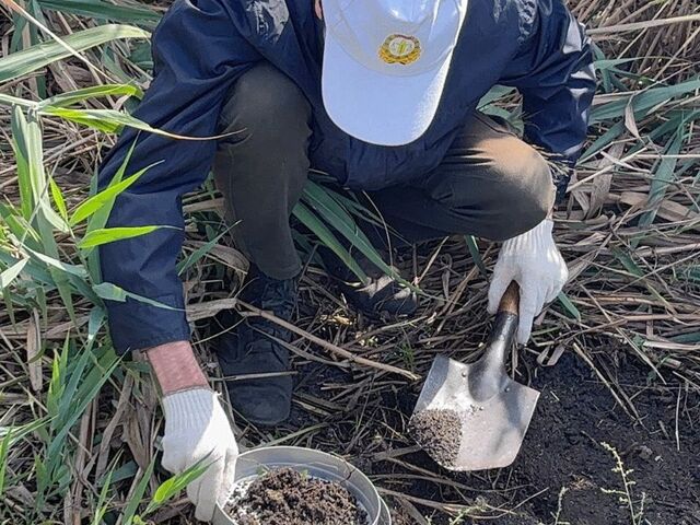 В Ростовской области не обнаружили зимующих саранчовых - Новости Ростова-на-Дону - последние новости Ростова-на-Дону сегодня на 1rnd.ru, 10.11.2025