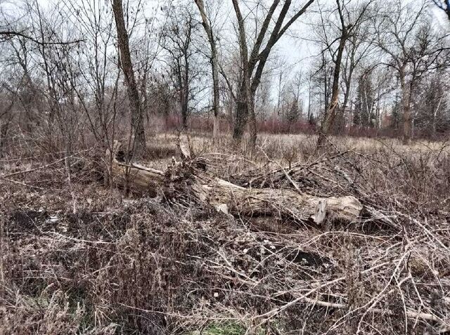 Многострадальный парк в Миллерово планируют благоустроить до конца 2028 года - Новости Ростова-на-Дону - последние новости Ростова-на-Дону сегодня на 1rnd.ru, 10.11.2025