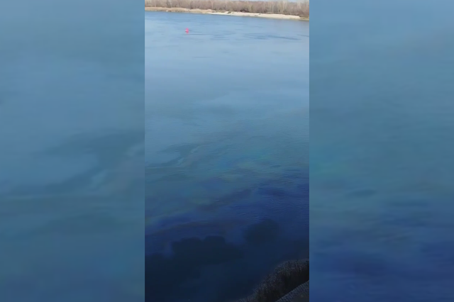 Баржа загрязнила Семикаракорский затон мазутом - Новости Ростова-на-Дону - последние новости Ростова-на-Дону сегодня на 1rnd.ru, 11.11.2025