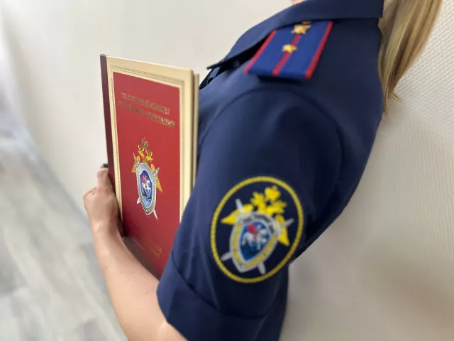 В Ростове задержан адвокат по обвинению в присвоении около 500 тыс рублей - Новости Ростова-на-Дону - последние новости Ростова-на-Дону сегодня на 1rnd.ru, 11.11.2025