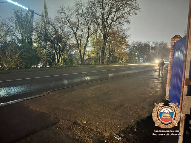 Водитель Range Rover в Ростове сбил женщину и ребёнка на тротуаре - Новости Ростова-на-Дону - последние новости Ростова-на-Дону сегодня на 1rnd.ru, 13.11.2025