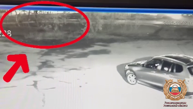 В Донецке водитель Jeep сбил подростка, переходившего в неположенном месте В Донецке водитель Jeep сбил подростка, переходившего в неположенном месте - Новости Ростова-на-Дону - последние новости Ростова-на-Дону сегодня на 1rnd.ru, 16.11.2025