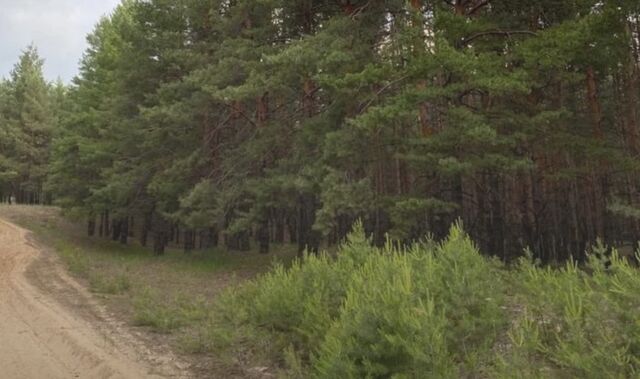 В Ростовской области с 1 марта закроется сезон охоты на ряд животных - Новости Ростова-на-Дону - последние новости Ростова-на-Дону сегодня на 1rnd.ru, 20.02.2026