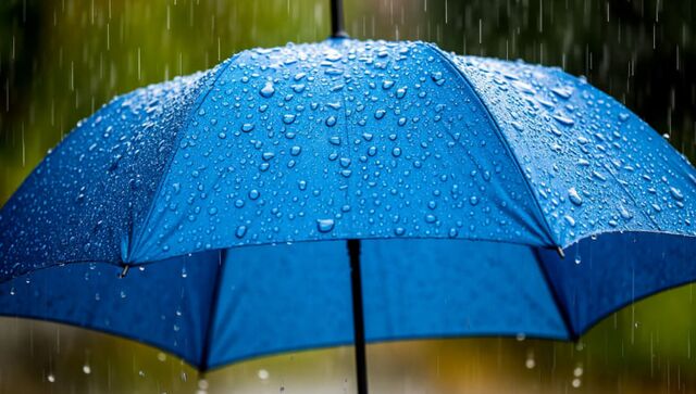 Местами по Ростовской области ожидается мокрый снег и дождь 4 марта - Новости Ростова-на-Дону - последние новости Ростова-на-Дону сегодня на 1rnd.ru, 03.03.2026