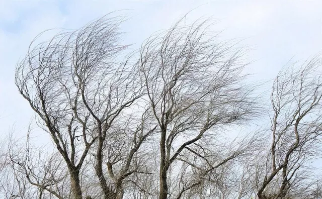 Дождь, ветер и до +10° днем: погода в Ростовской области на 5 марта - Новости Ростова-на-Дону - последние новости Ростова-на-Дону сегодня на 1rnd.ru, 04.03.2026