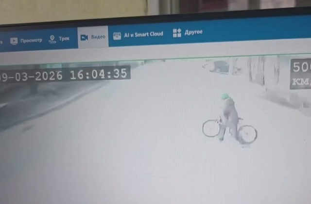 В Ростове автобус врезался в дерево после резкого торможения: есть пострадавшие - Новости Ростова-на-Дону - последние новости Ростова-на-Дону сегодня на 1rnd.ru, 10.03.2026