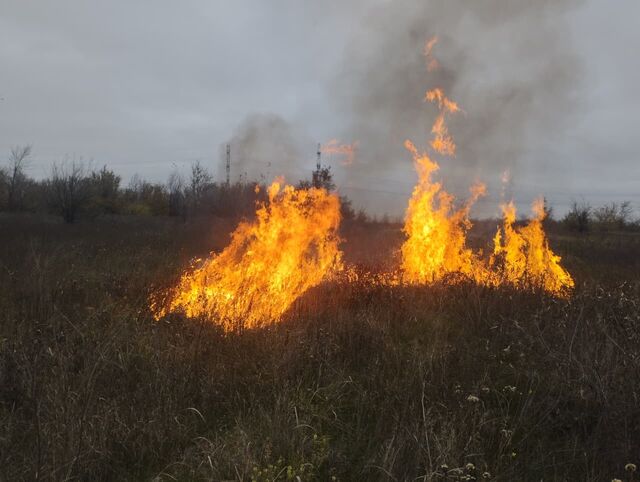 Контролируемый отжиг травы пройдет в Ростове 12 марта - Новости Ростова-на-Дону - последние новости Ростова-на-Дону сегодня на 1rnd.ru, 11.03.2026
