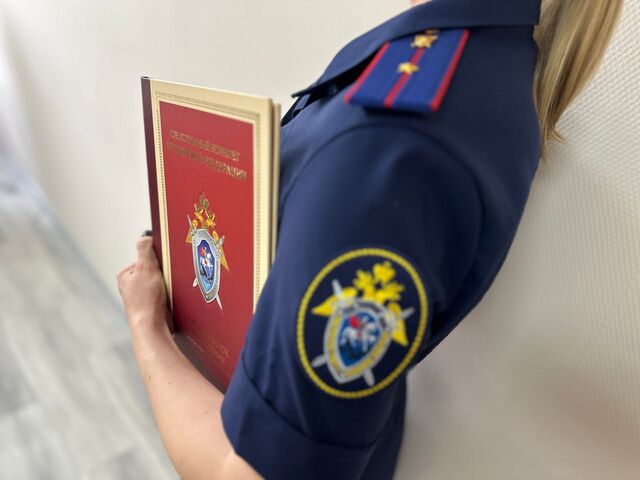 Бастрыкин поручил возобновить дело о смертельном ДТП в Азове - Новости Ростова-на-Дону - последние новости Ростова-на-Дону сегодня на 1rnd.ru, 13.03.2026