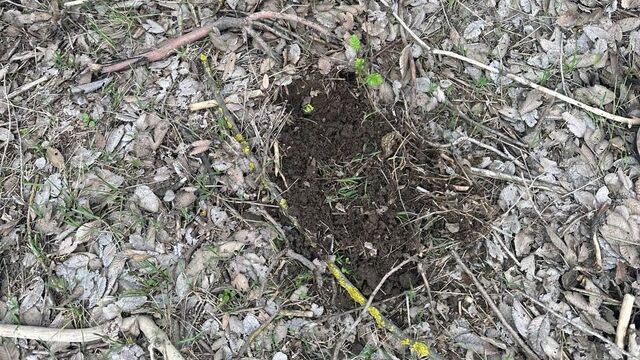 Житель Новочеркасска попался полицейским с наркотиками - Новости Ростова-на-Дону - последние новости Ростова-на-Дону сегодня на 1rnd.ru, 14.03.2026