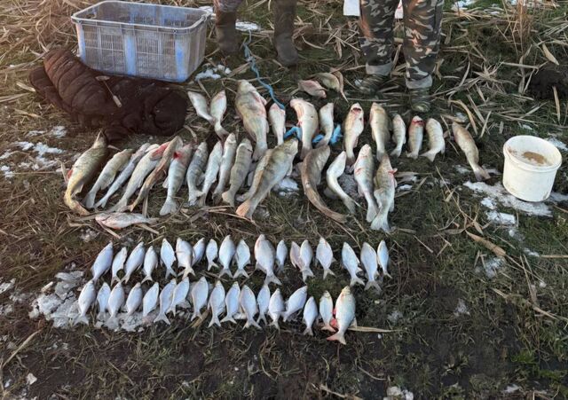 В Ростовской области с 15 марта запретили ловить тарань и плотву - Новости Ростова-на-Дону - последние новости Ростова-на-Дону сегодня на 1rnd.ru, 16.03.2026