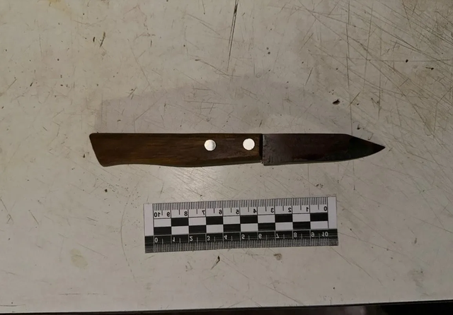 Удар в семейной жизни: женщина из Ростова обвиняется в убийстве мужа ножом - Новости Ростова-на-Дону - последние новости Ростова-на-Дону сегодня на 1rnd.ru, 20.03.2026