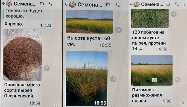 Дорогой посев: фермер из Тацинского района лишился 900 тысяч рублей при покупке семян - Новости Ростова-на-Дону - последние новости Ростова-на-Дону сегодня на 1rnd.ru, 26.03.2026