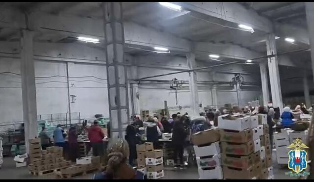 12 мигрантов выдворят из России после проверки склада в Ростовской области - Новости Ростова-на-Дону - последние новости Ростова-на-Дону сегодня на 1rnd.ru, 28.03.2026