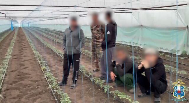 Донская полиция выдворила мигрантов за пределы страны - Новости Ростова-на-Дону - последние новости Ростова-на-Дону сегодня на 1rnd.ru, 07.04.2026